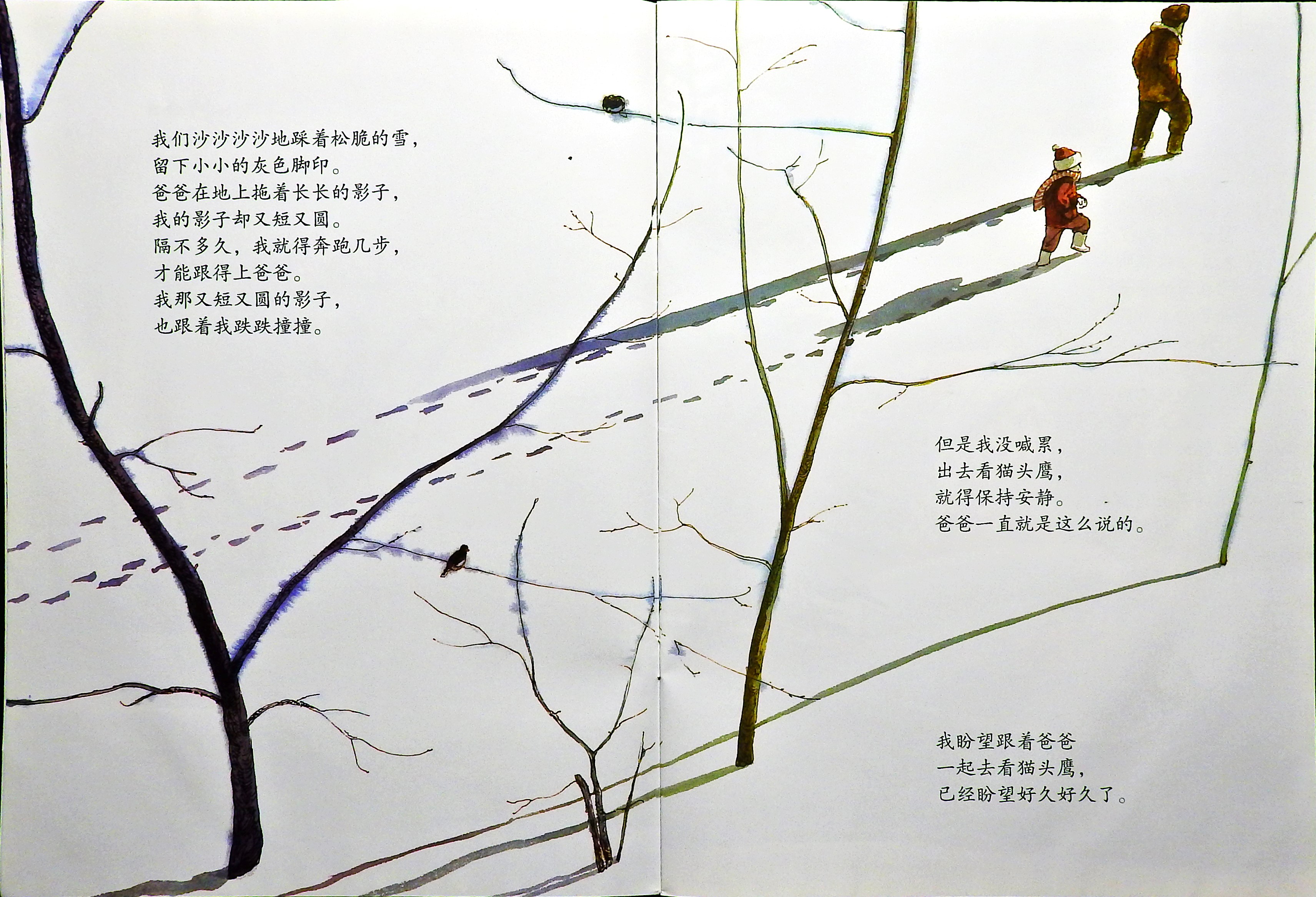 月下看猫头鹰 (06),绘本,绘本故事,绘本阅读,故事书,童书,图画书,课外阅读